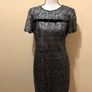Steel grey lace dress